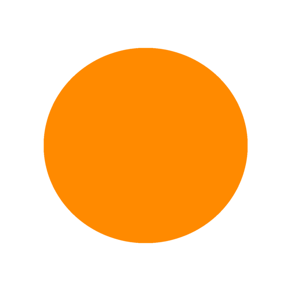 orange circle copy2